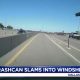 Driver survives scare with trash can crashing into windshield