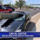 Man survives a cactus smashing through his windshield