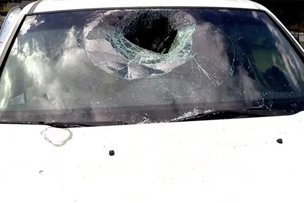 Read more about the article Bear breaks through windshield from the INSIDE of car