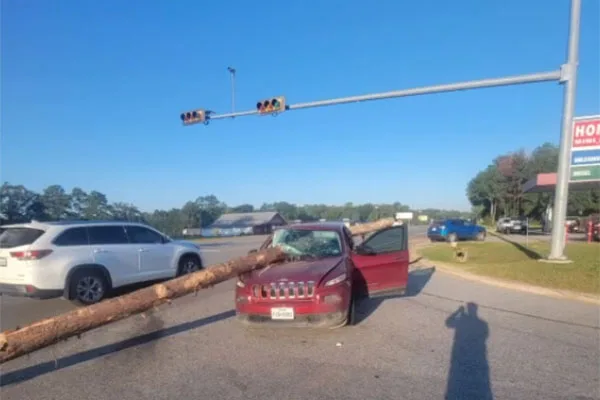 Woman miraculously survives log crashing into her windshield